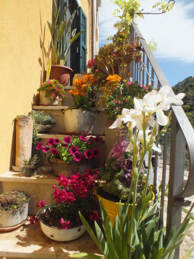 La Casa Di Sveva Appartement Ragusa Buitenkant foto